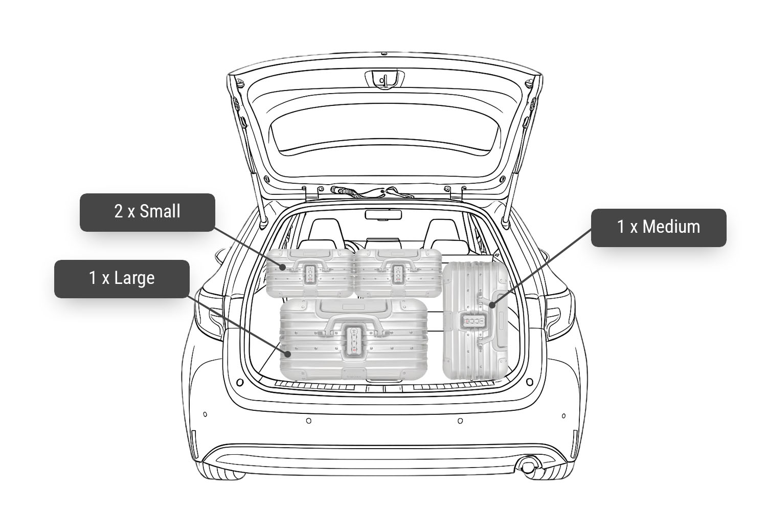 1x Large, 1x Medium, 2x Small